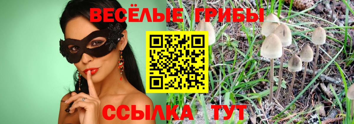 Псилоцибиновые грибы прущие грибы  закладка  Верхний Уфалей  Галлюциногенные грибы мицелий  Вход с VPN 